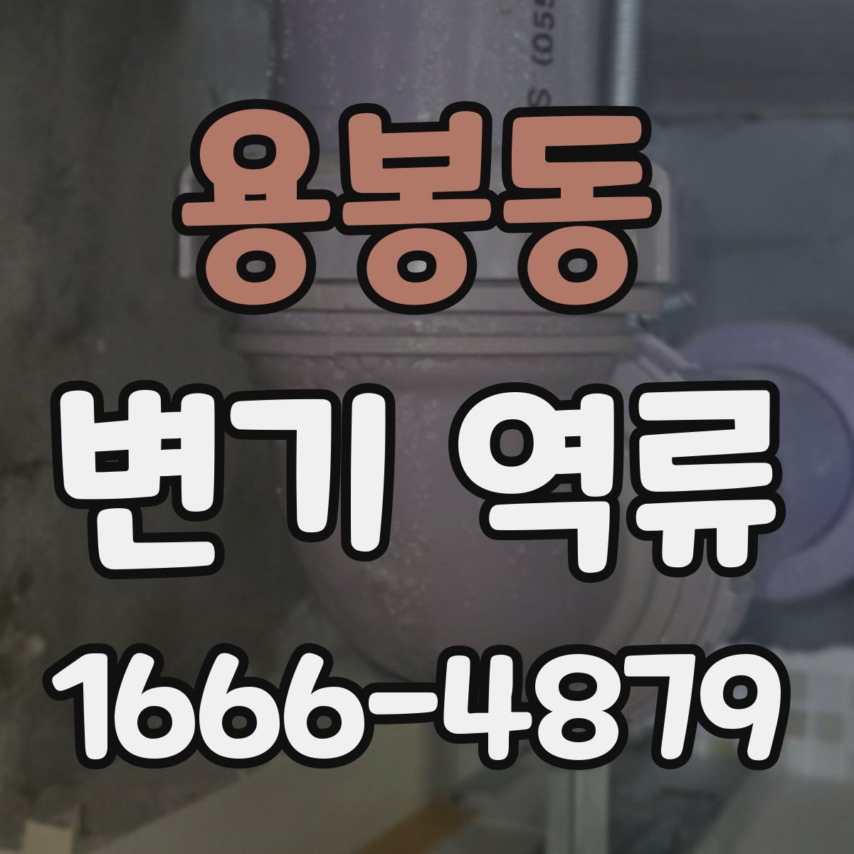 용봉동 변기 역류