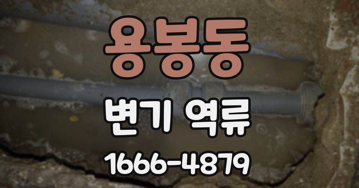 용봉동 변기 역류