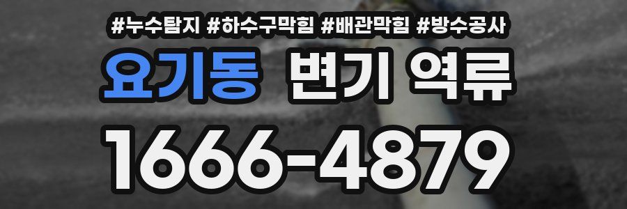 요기동 변기 역류