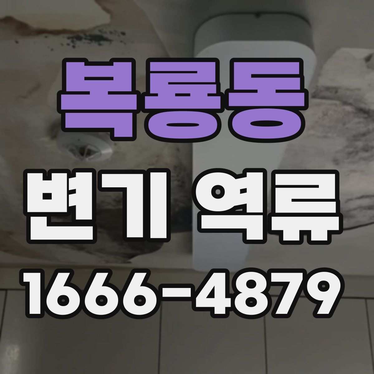 복룡동 변기 역류