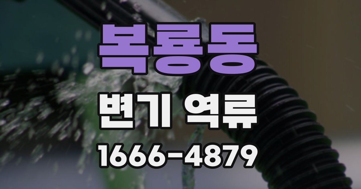 복룡동 변기 역류