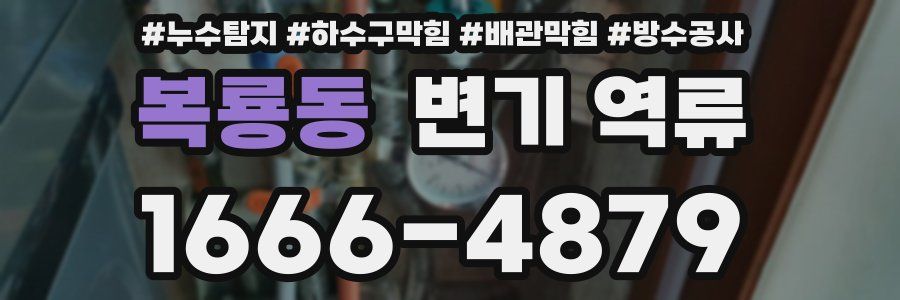 복룡동 변기 역류