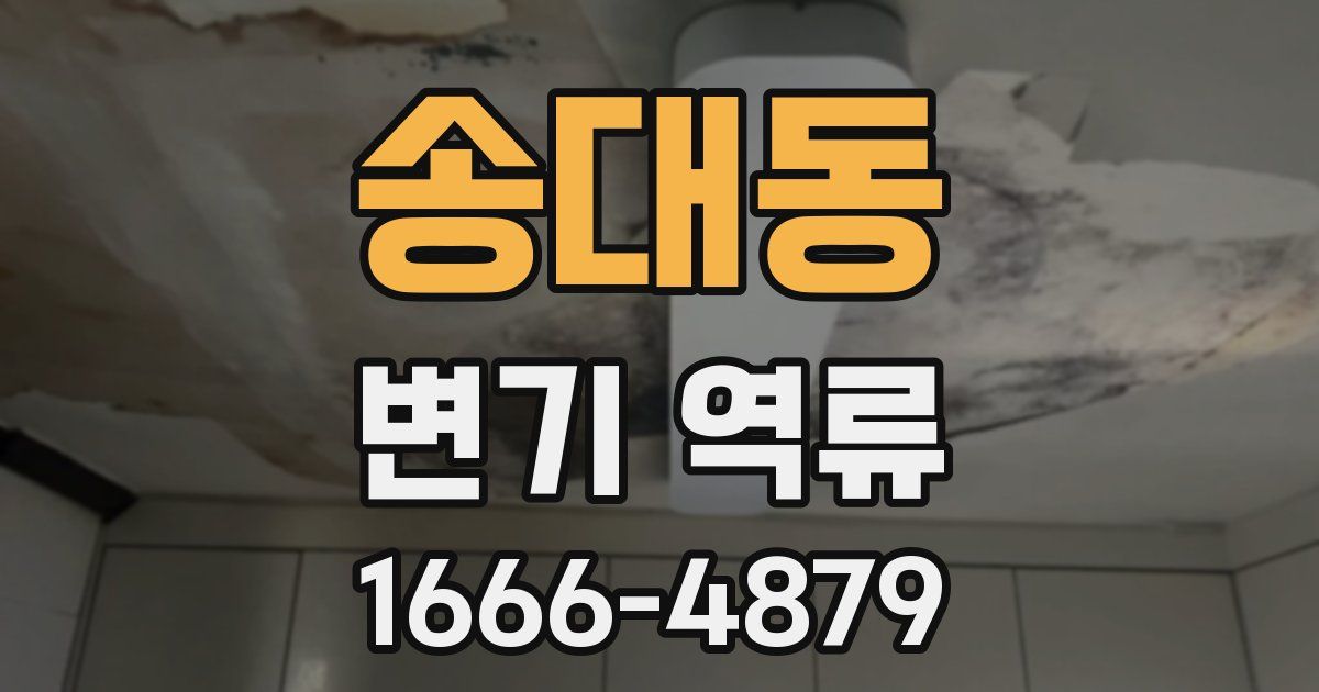 송대동 변기 역류