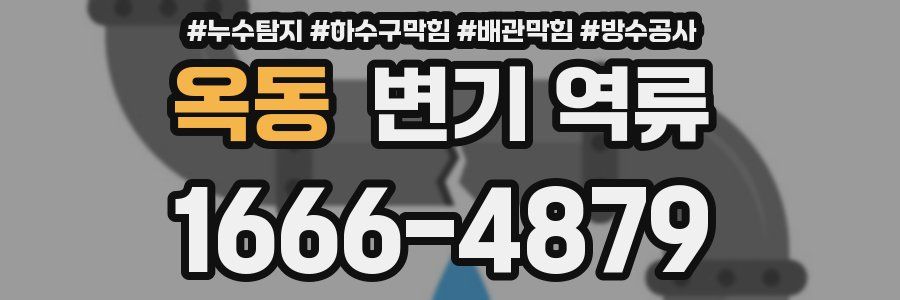 옥동 변기 역류