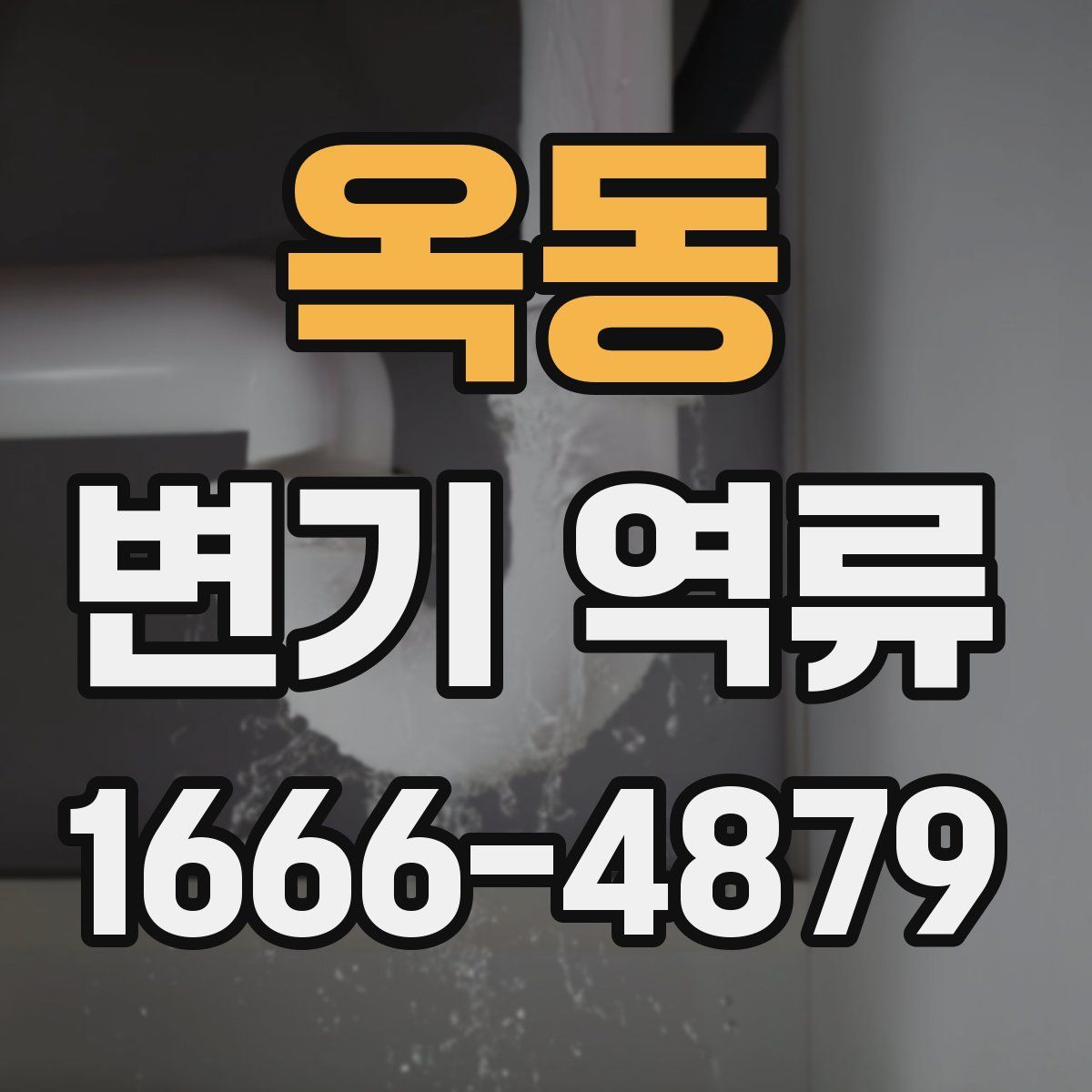 옥동 변기 역류