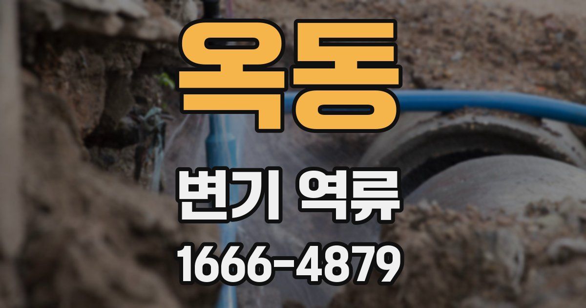 옥동 변기 역류