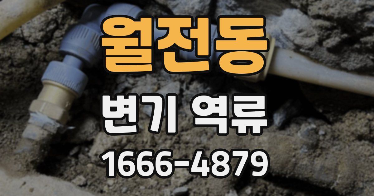 월전동 변기 역류