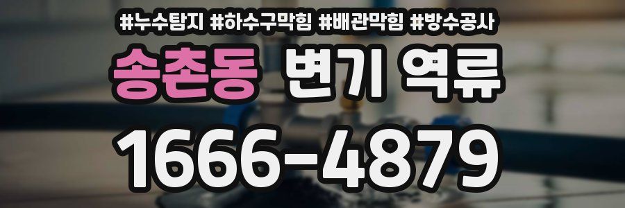 송촌동 변기 역류