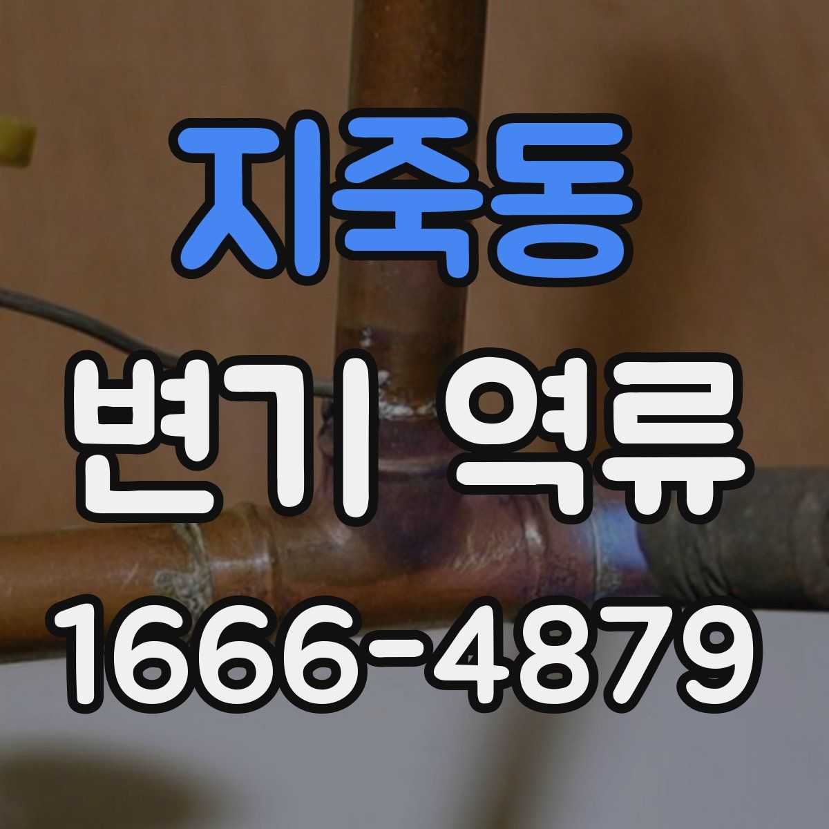 지죽동 변기 역류