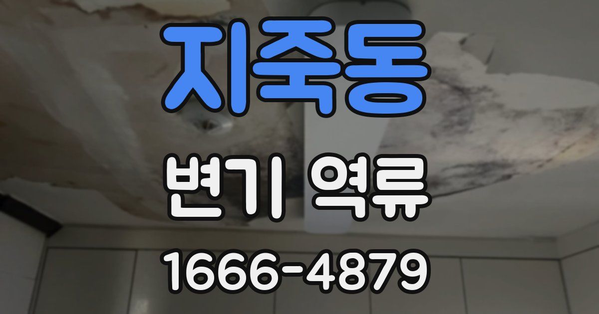 지죽동 변기 역류
