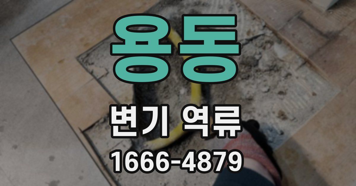 용동 변기 역류