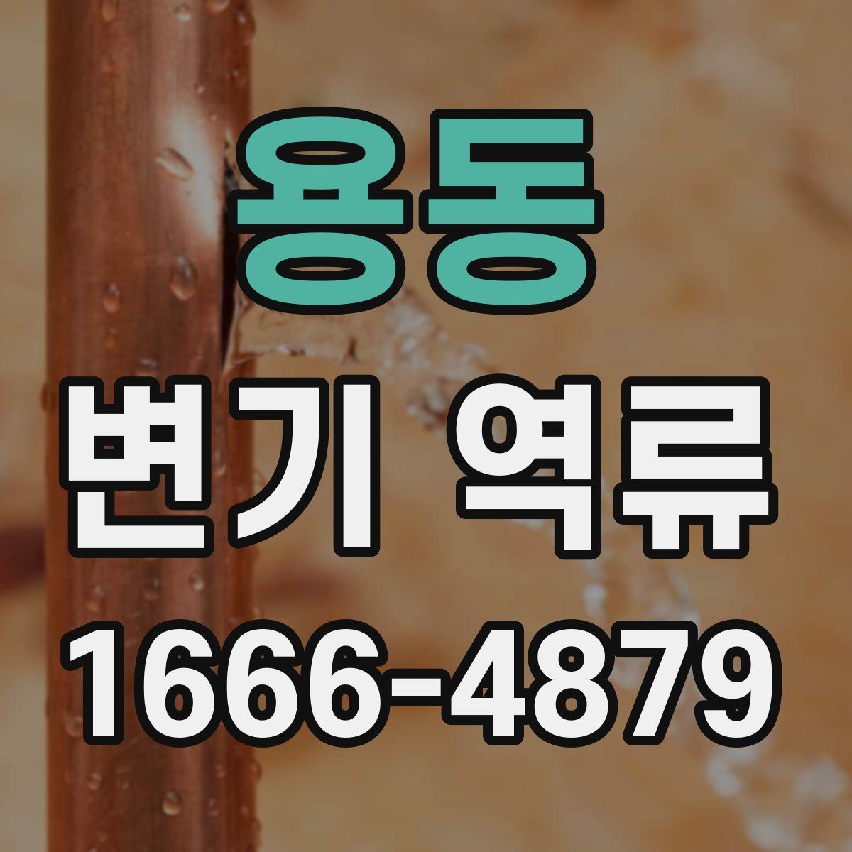 용동 변기 역류