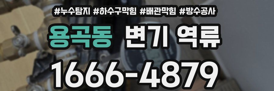 용곡동 변기 역류