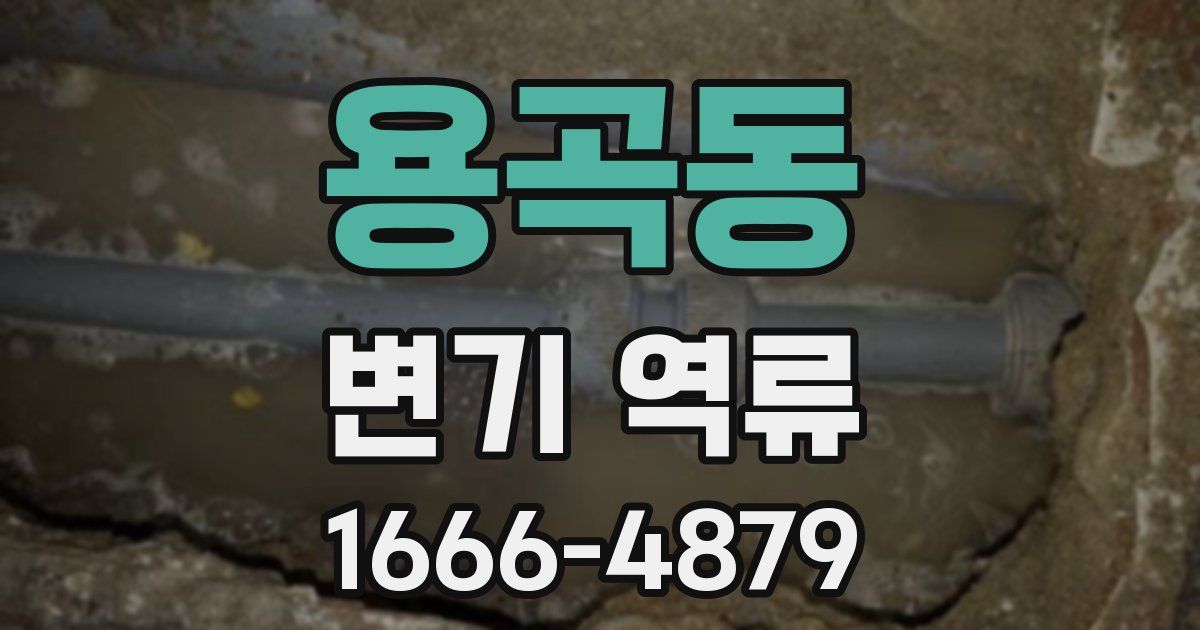 용곡동 변기 역류