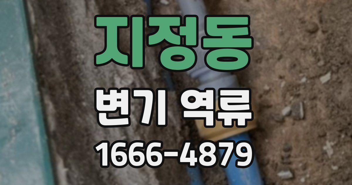지정동 변기 역류