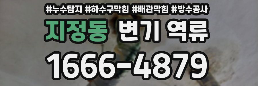 지정동 변기 역류