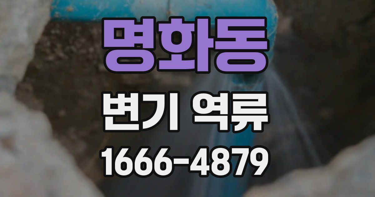 명화동 변기 역류