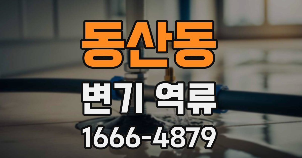 동산동 변기 역류