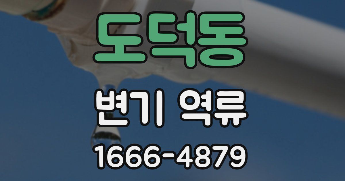 도덕동 변기 역류