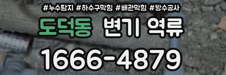 도덕동 변기 역류