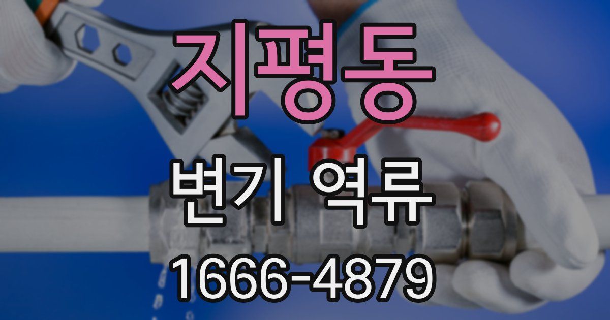지평동 변기 역류