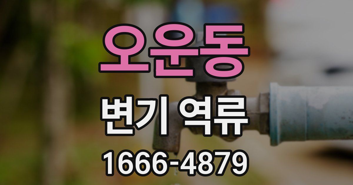 오운동 변기 역류