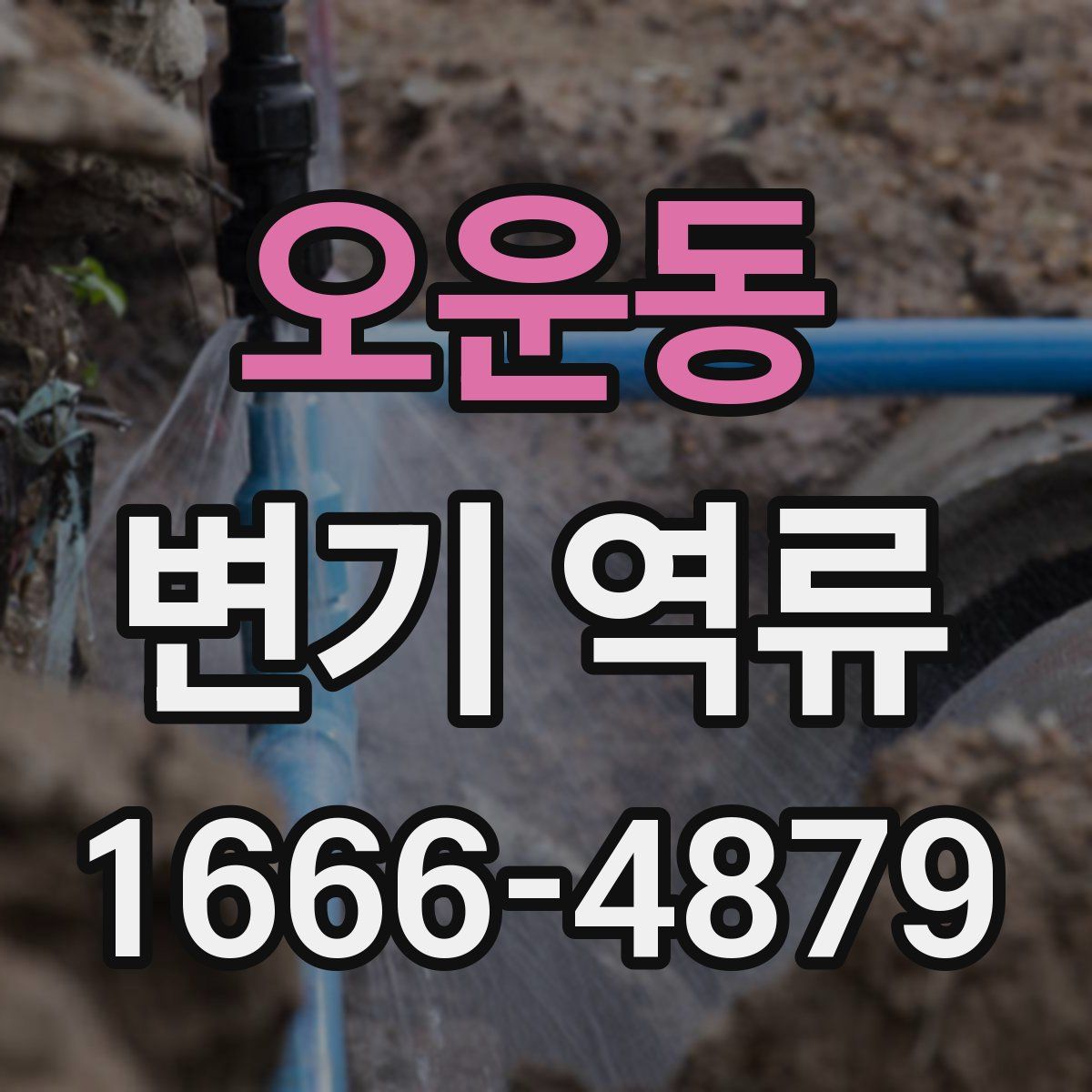 오운동 변기 역류