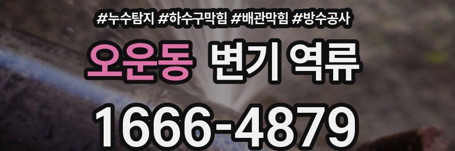 오운동 변기 역류