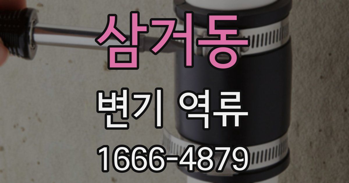 삼거동 변기 역류