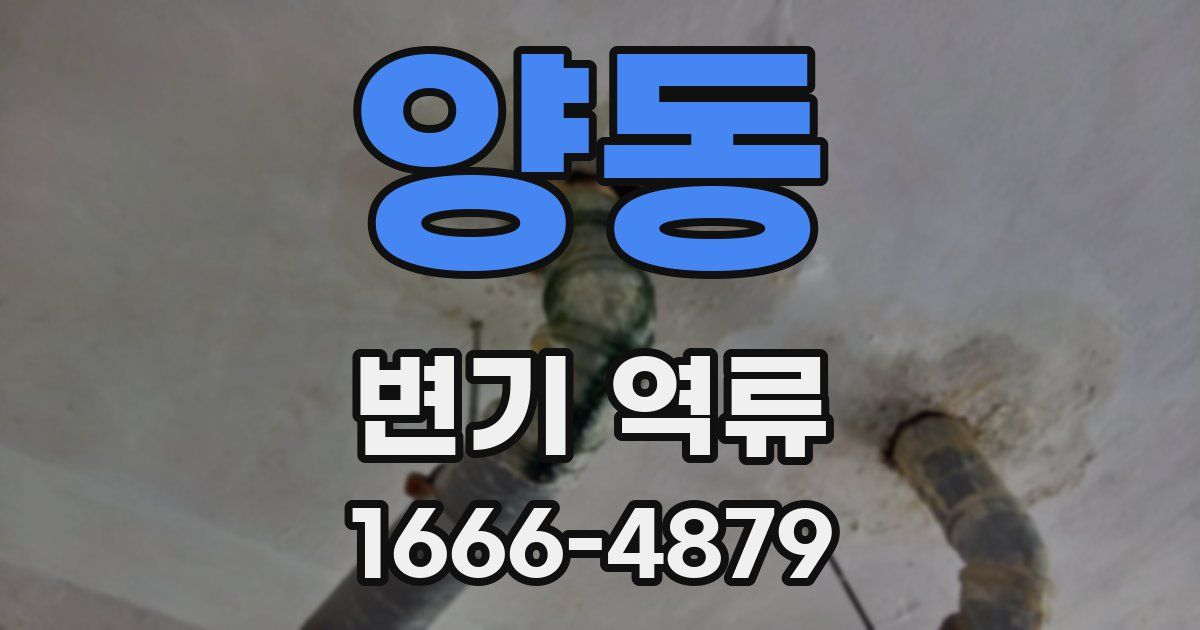 양동 변기 역류