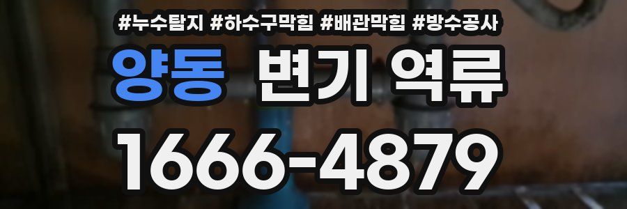 양동 변기 역류
