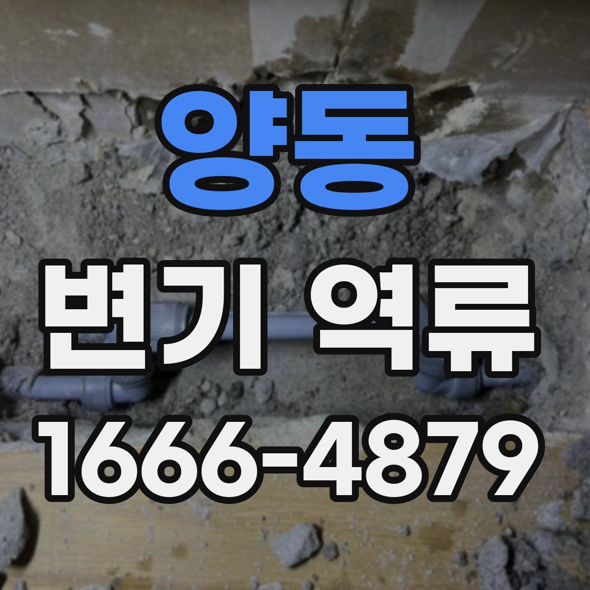 양동 변기 역류