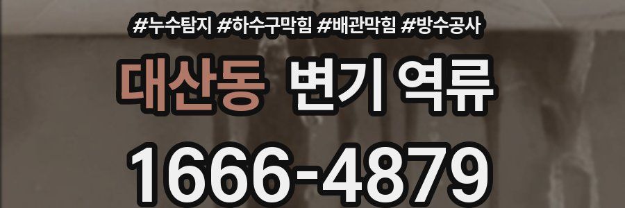 대산동 변기 역류