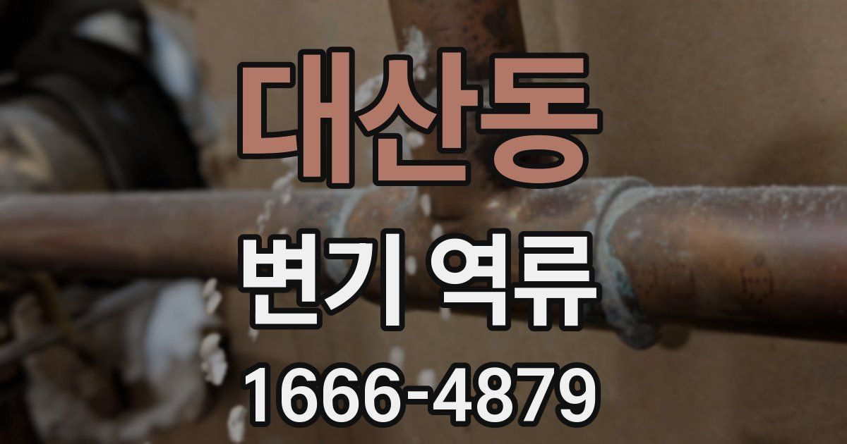 대산동 변기 역류