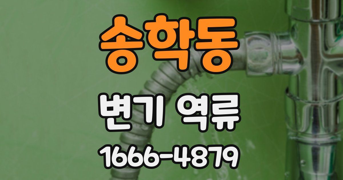 송학동 변기 역류