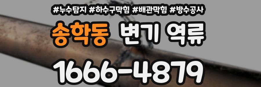 송학동 변기 역류