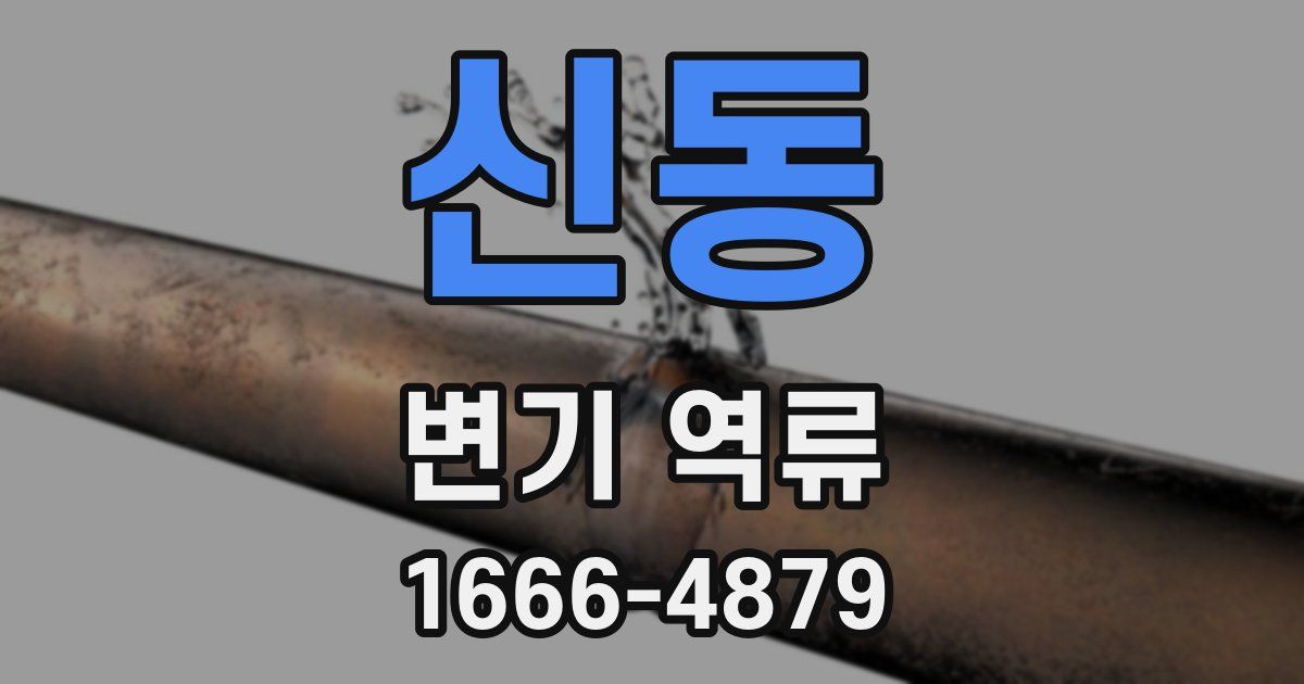 신동 변기 역류