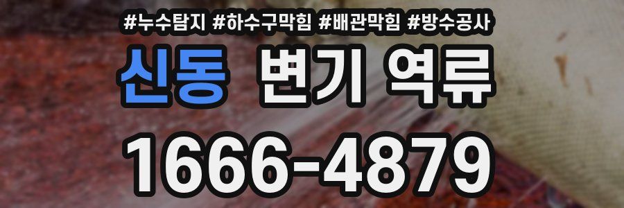 신동 변기 역류