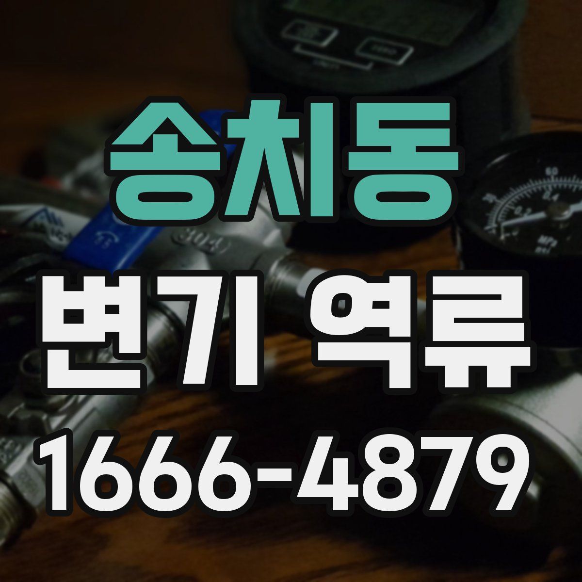 송치동 변기 역류