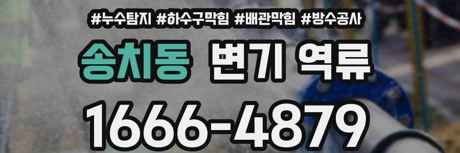 송치동 변기 역류