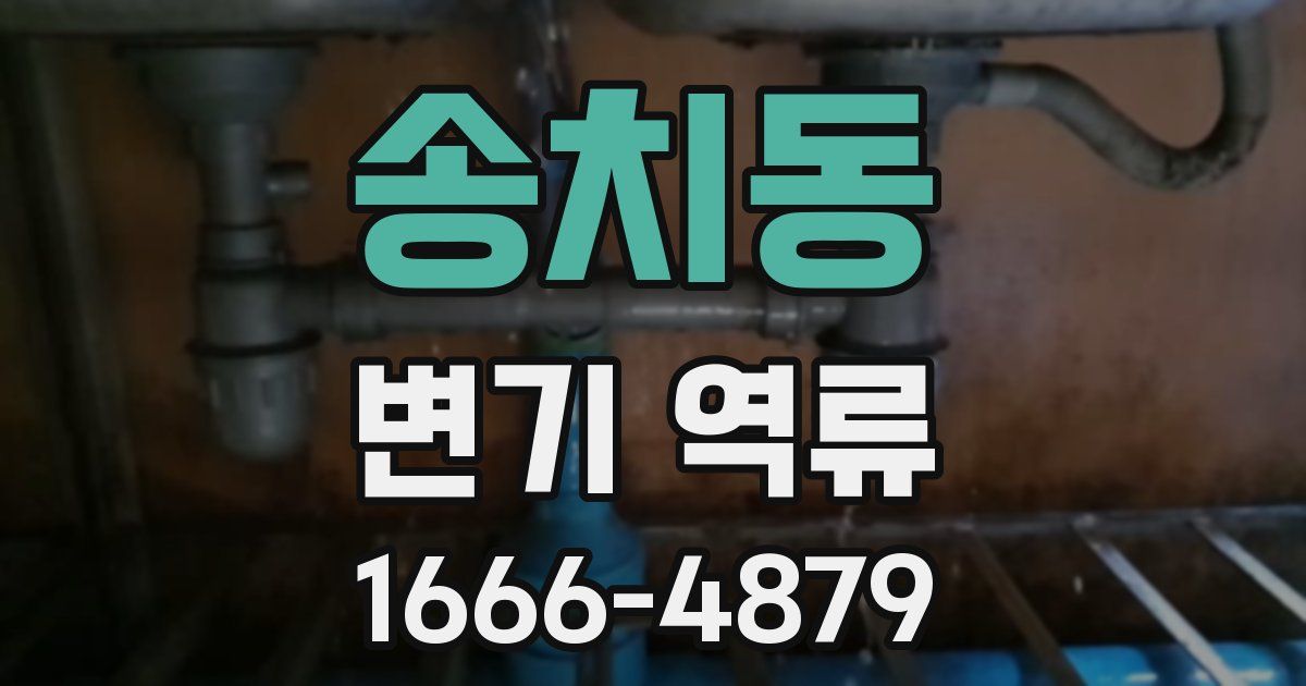 송치동 변기 역류