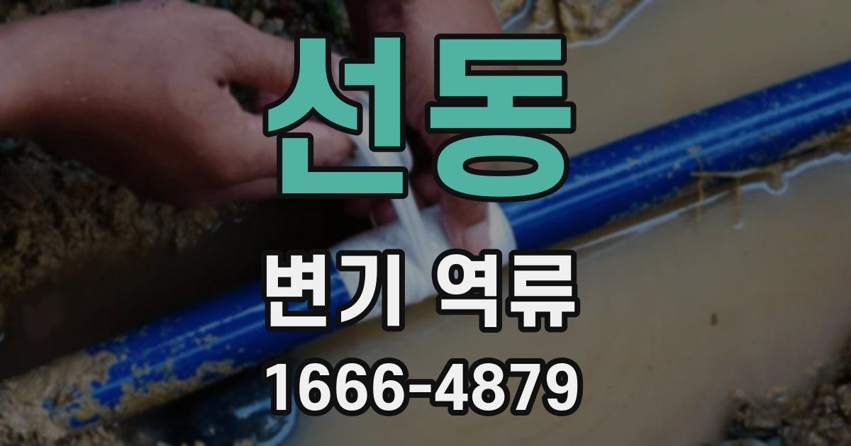 선동 변기 역류
