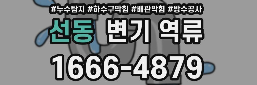 선동 변기 역류