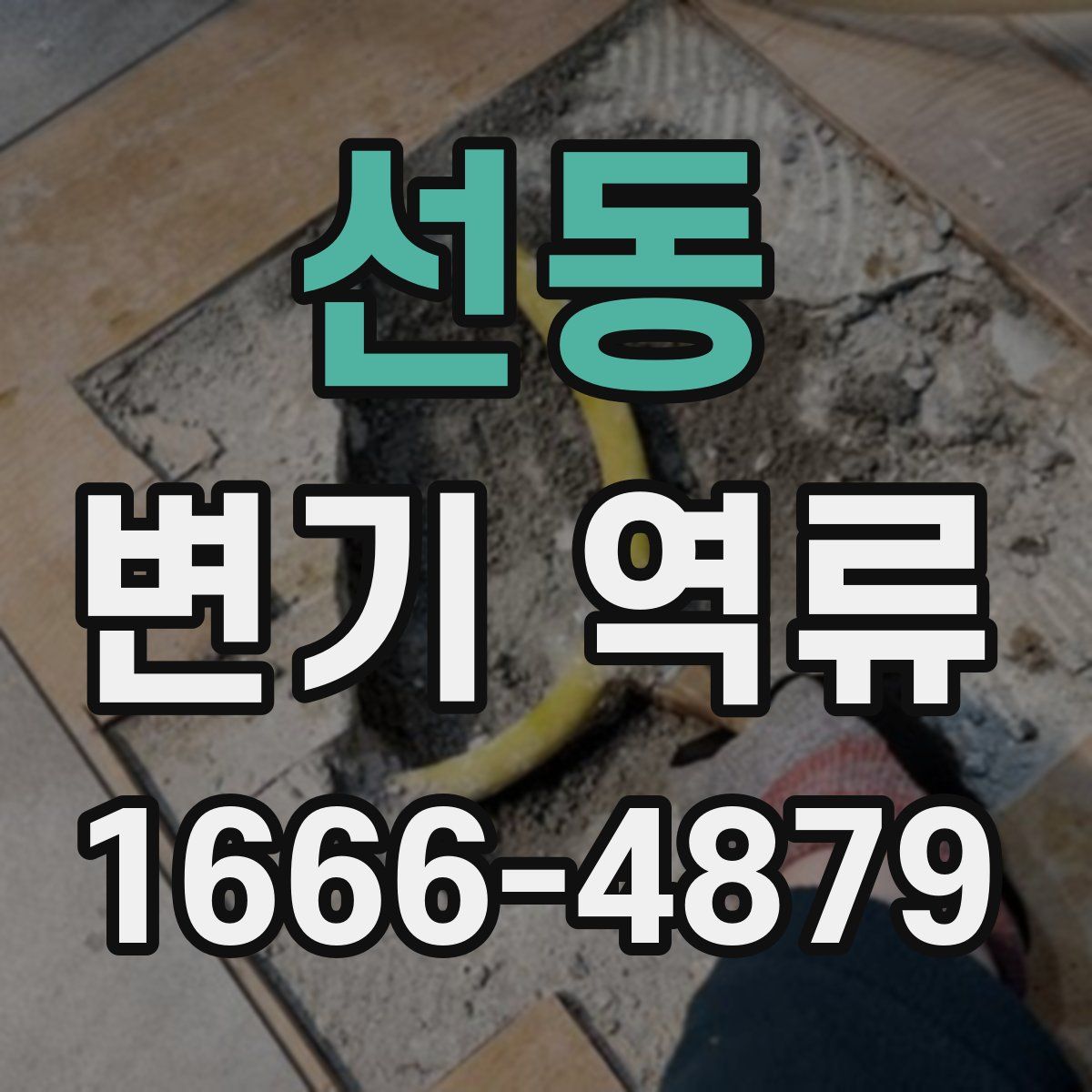 선동 변기 역류