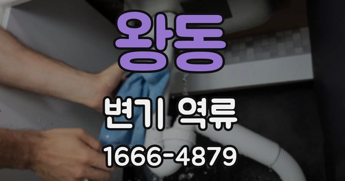 왕동 변기 역류