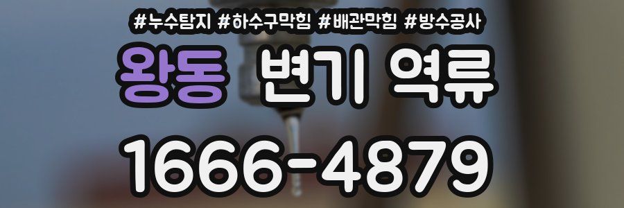 왕동 변기 역류