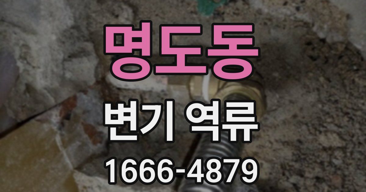 명도동 변기 역류