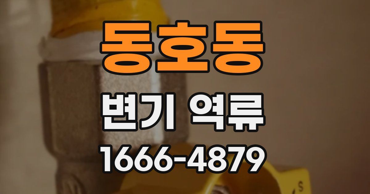 동호동 변기 역류