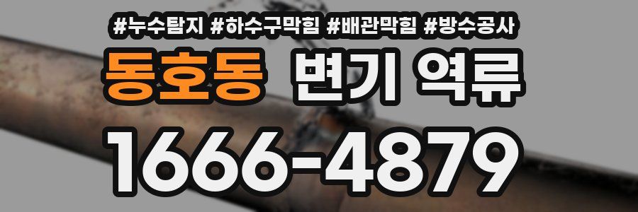 동호동 변기 역류