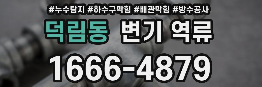 덕림동 변기 역류